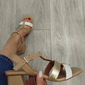 Lodi - MIL5214 - Blush Multi Sandal