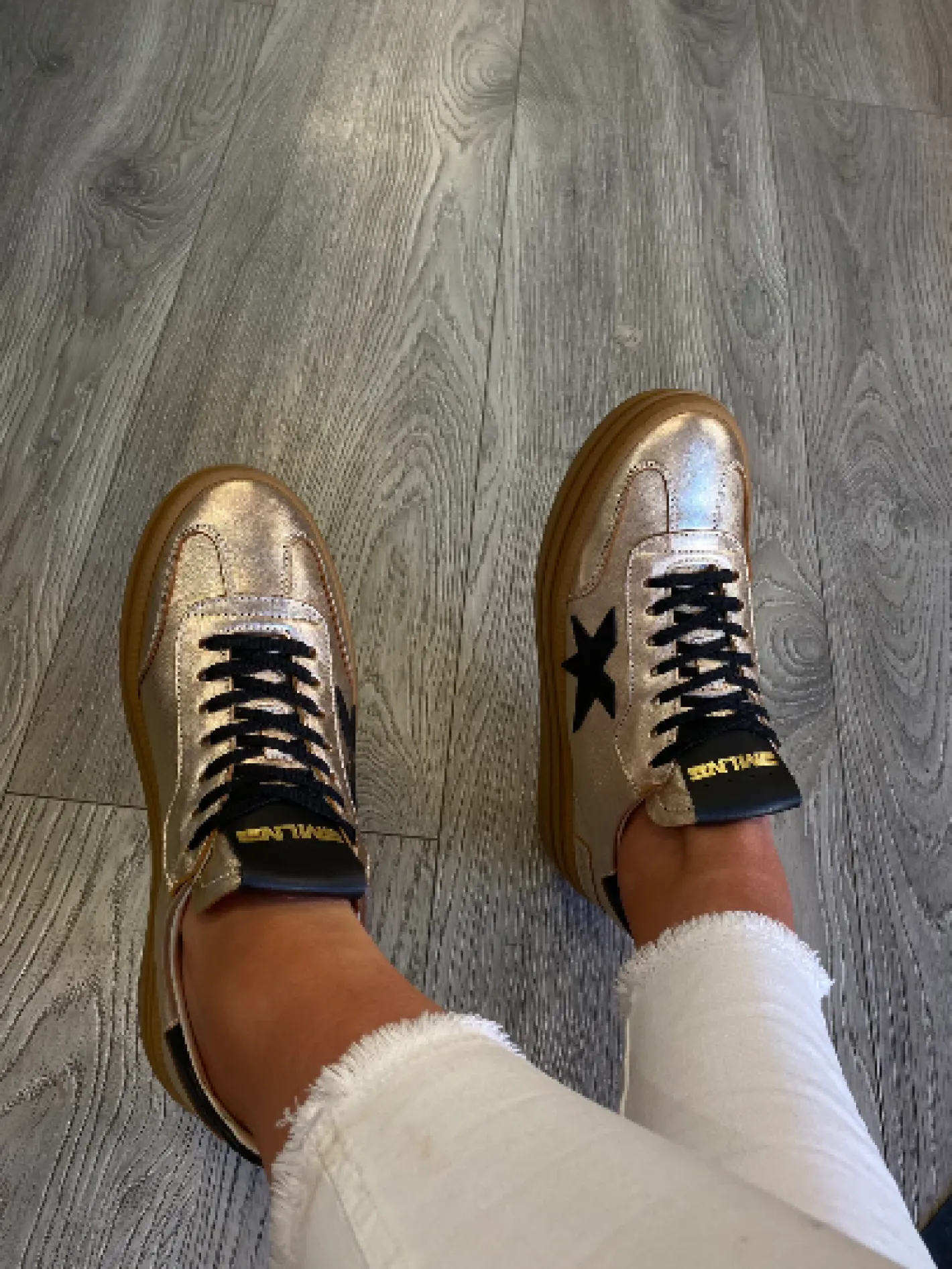 meline__gold_platform_tra_2.webp Meline - Gold Platform Trainer