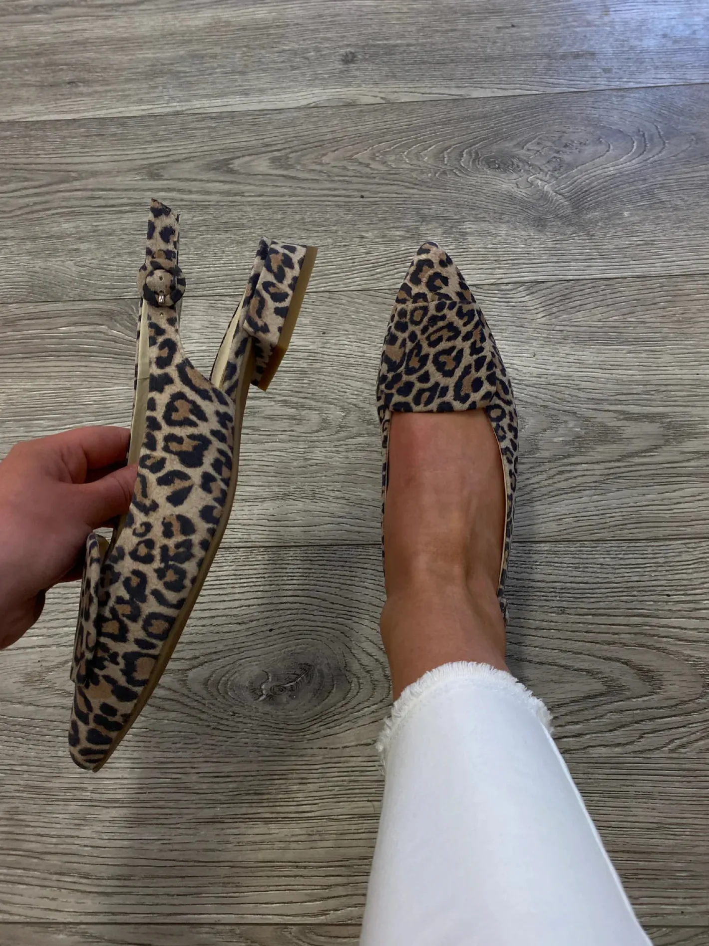 paul_green___leopard_slin_2.webp Paul Green - 6090 Leopard Sling Back