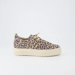 Paul Green - 5317 Leopard Slip On Trainer