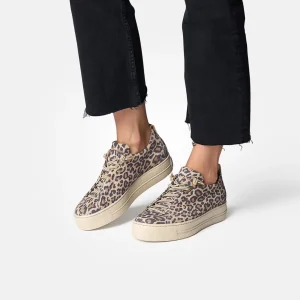 Paul Green - 5317 Leopard Slip On Trainer